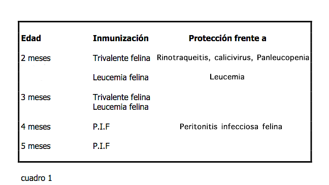 TABLA DE VACUNACION DEL GATO