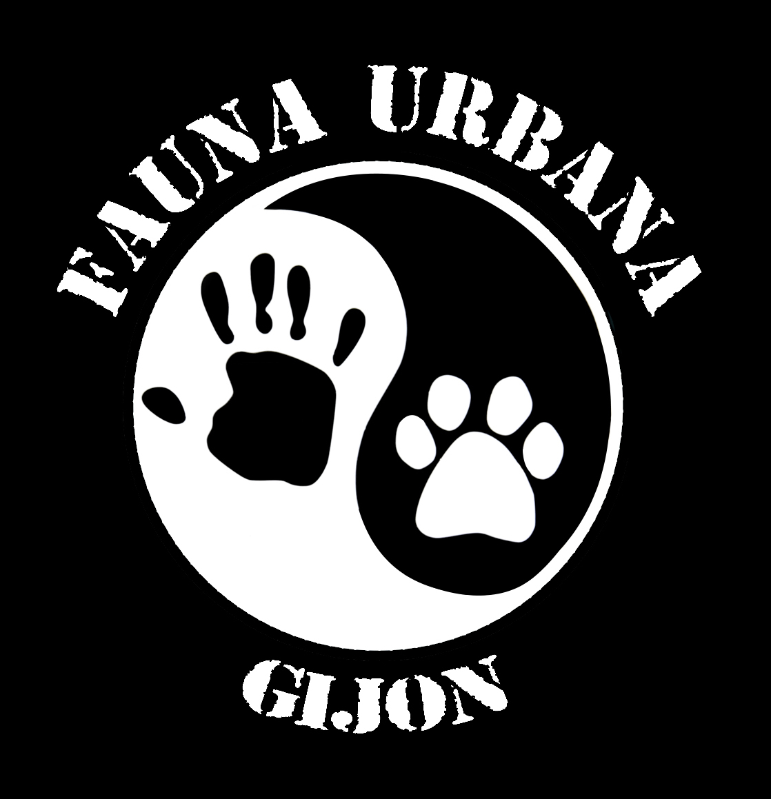 Fauna urbana Gijon